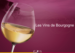 © BIVBブルゴーニュ/Bourgogneワイン