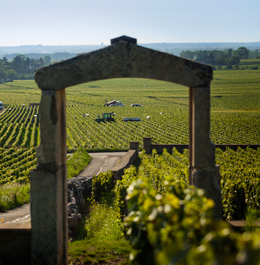 © BIVB / IBANEZ A.The Burgundy region opens its doors to you