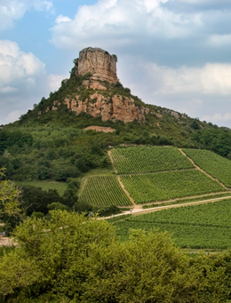 © BIVB / ARM.COM Landscape in the wine growing region of the Mâconnais