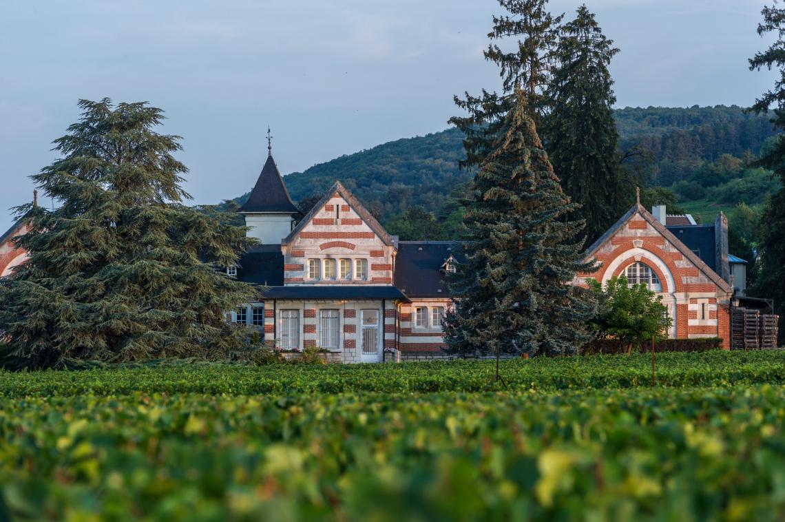 Henri De Villamont Savigny Clos des Guettes