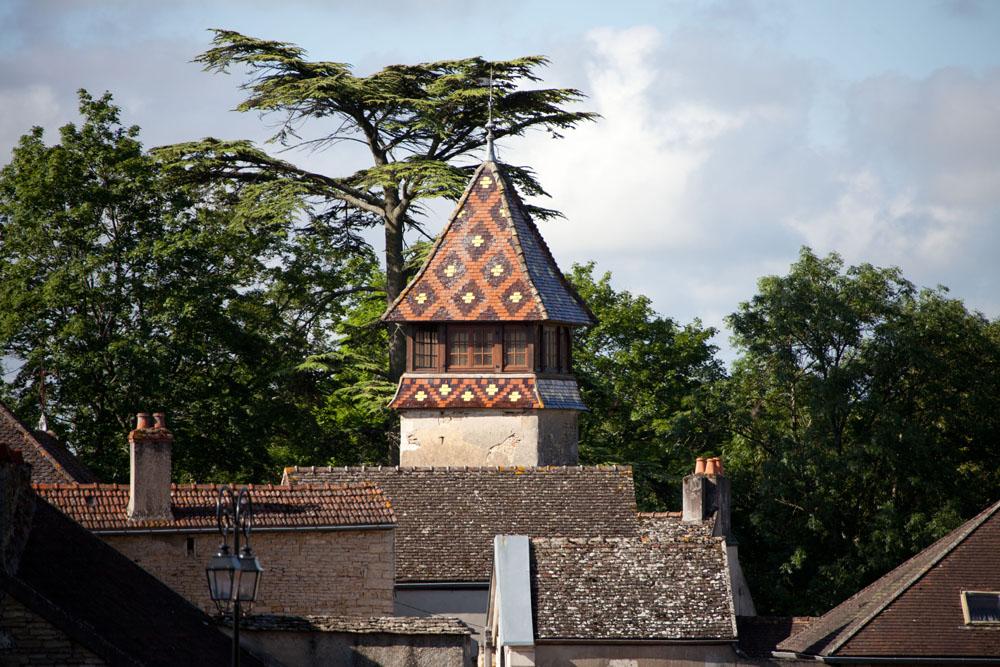 VINBOU0000201057 pressurage2012-1003 domaine-de-surmain-91