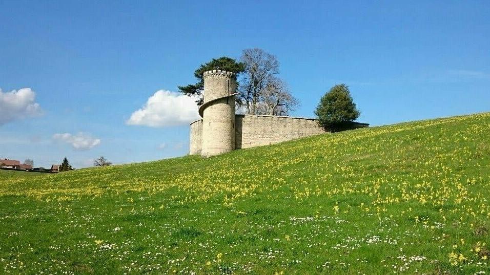 Tour du Chateau (2)