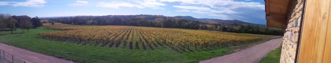 photo la vernette10 logo pérelles retaille Jean-Yves Larochette dans les vignes1 retaille