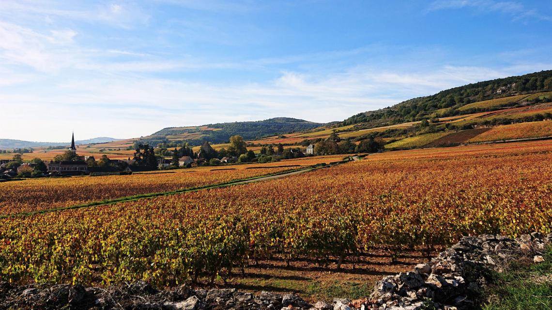 Domaine-Justin-Girardin-retaille