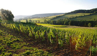 Domaine Aurélien Febvre Domaine Aurélien Febvre