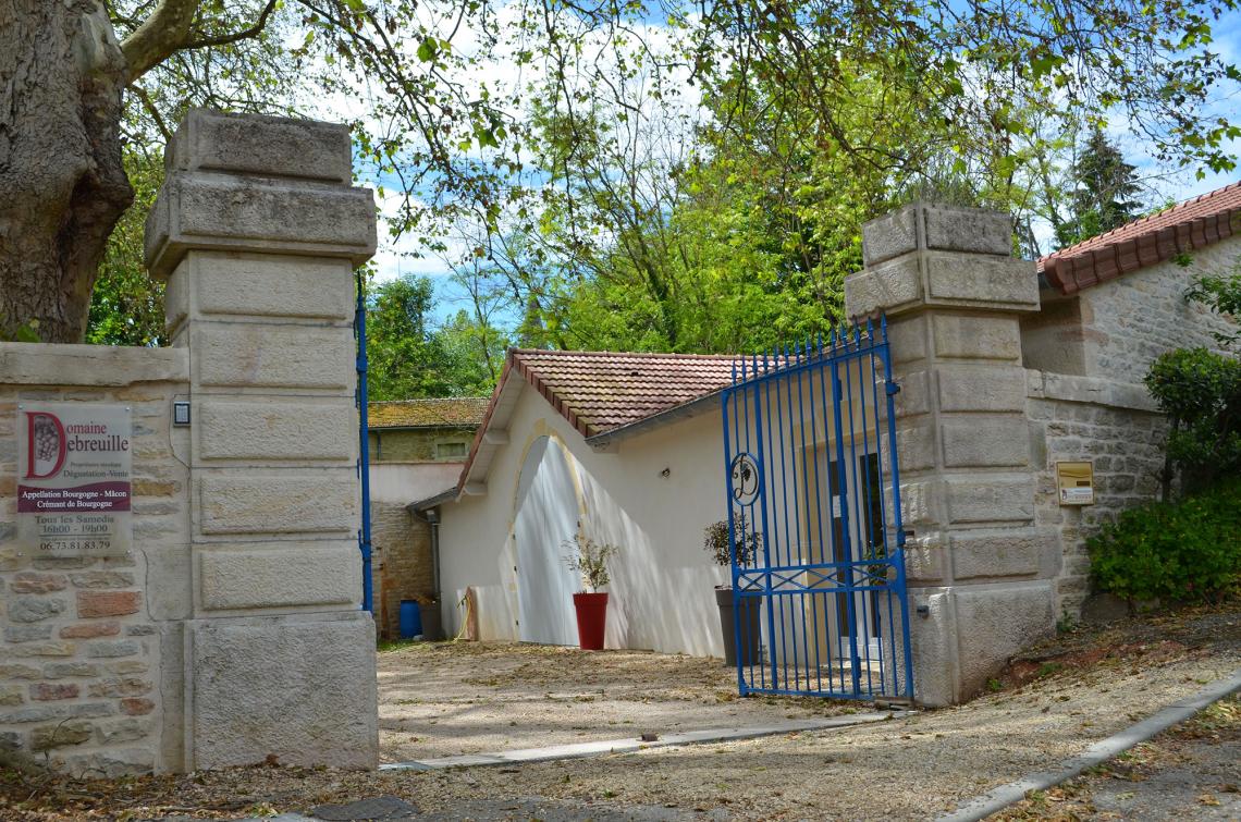 11 31 DSC_54541 Domaine Debreuille
