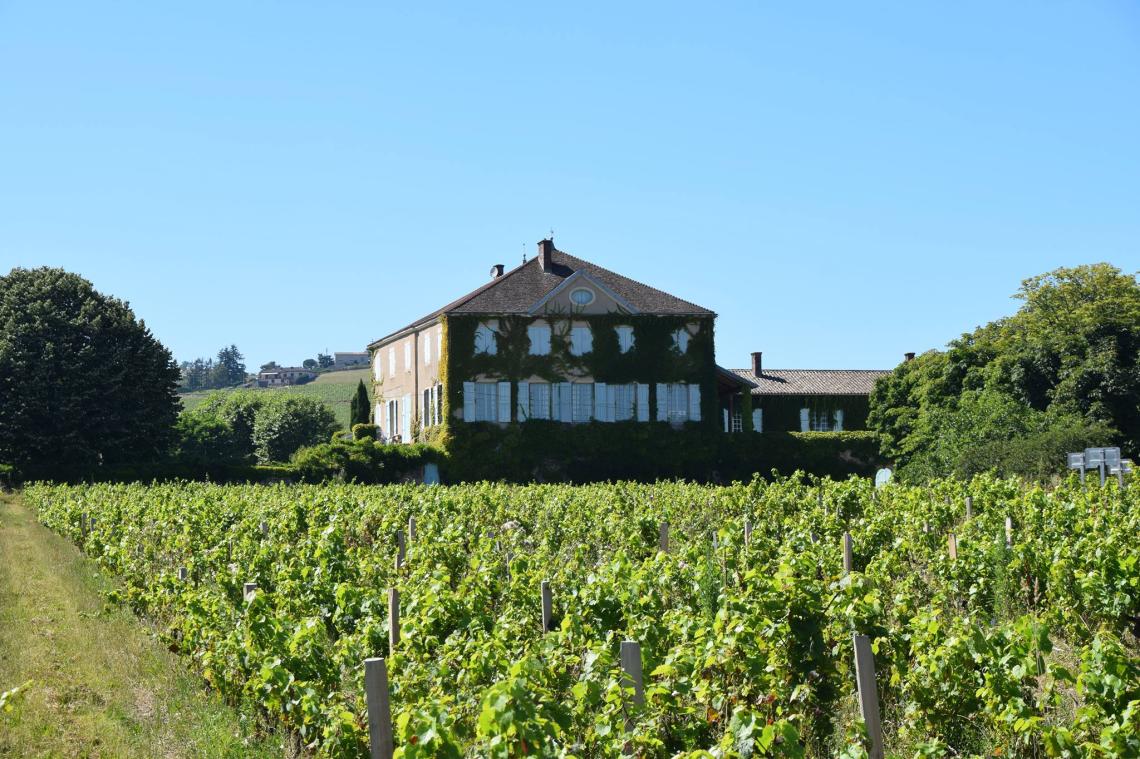 Château des Bachelards Château des Bachelards à Fleurie Château des Bachelards à Fleurie Château des Bachelards à Fleurie Château des Bachelards à Fleurie Château des Bachelards à Fleurie Château des Bachelards à Fleurie Château des Bachelards à Fleurie Château des Bachelards à Fleurie Château des Bachelards à Fleurie