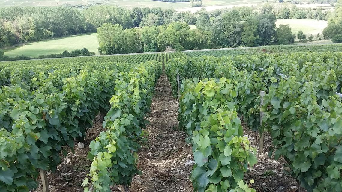 20230808_115649 20230808_122345 20230922_112638