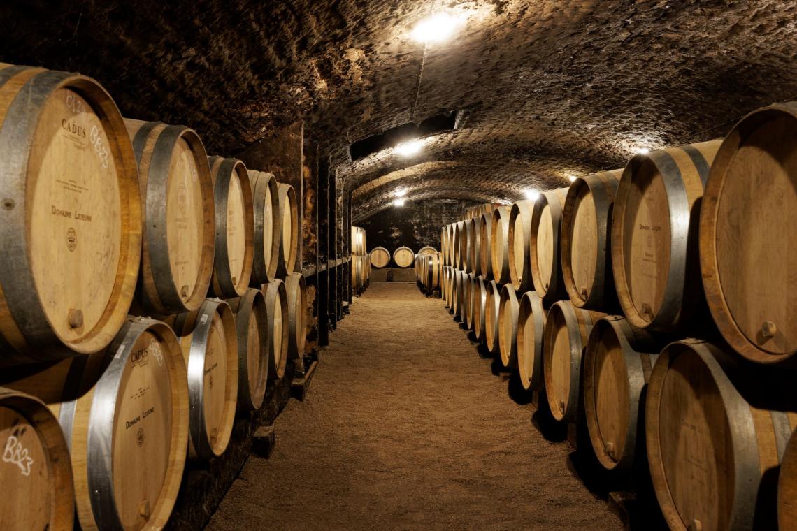 Domaine Lejeune-Automne 2023-030-Antoine Martel-Photographe Domaine Lejeune-Automne 2023-071-Antoine Martel-Photographe Domaine Lejeune-Automne 2023-030-Antoine Martel-Photographe Domaine Lejeune-Automne 2023-071-Antoine Martel-Photographe