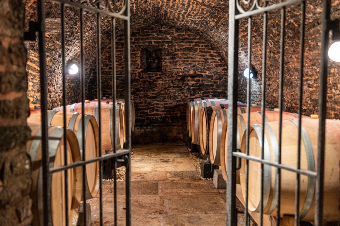 DJF cave2 DJF cavefrancois1 DJF laurent3 DJF laurentfrancois1 DJF tono1 DJFcheval2 DJFchevalfrancois1 DJFdomaine3 DJFvallon1 IMG_1110 DJF cave2 DJF cavefrancois1 DJF laurent3 DJF laurentfrancois1 DJF tono1 DJFcheval2 DJFchevalfrancois1 DJFdomaine3 DJFvallon1 IMG_1110