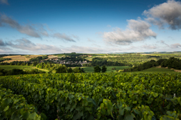 © BIVB / IBANEZ A. Chablis