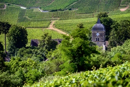 © BIVB / JOLY M. Landscape in the wine growing region of the Côte de Nuits.