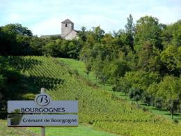 © SUCHAUT C Landscape in the wine growing region of the Chatillonnais