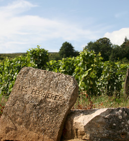 © BIVB / ARM.COM Les Perrières Climats in Nuits-Saint-Georges