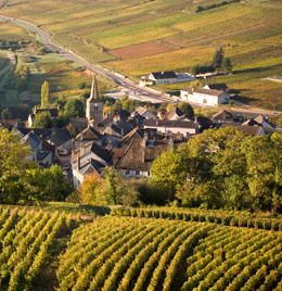 © BIVB / ARM.COM Landscape in the wine growing region in the Côte de Beaune. 