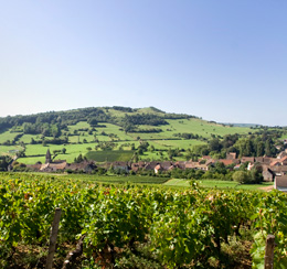© BIVB / ARM.COM  Landscape in the wine growing region of the Côte de Chalonnais