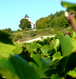 © SUCHAUT C Landscape in the wine growing region of the Chatillonnais