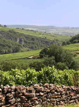 © BIVB / ARMELLEPHOTOGRAPHE Meuger in the wine growing region of the Mâconnais